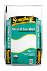 Natural Sea Shell